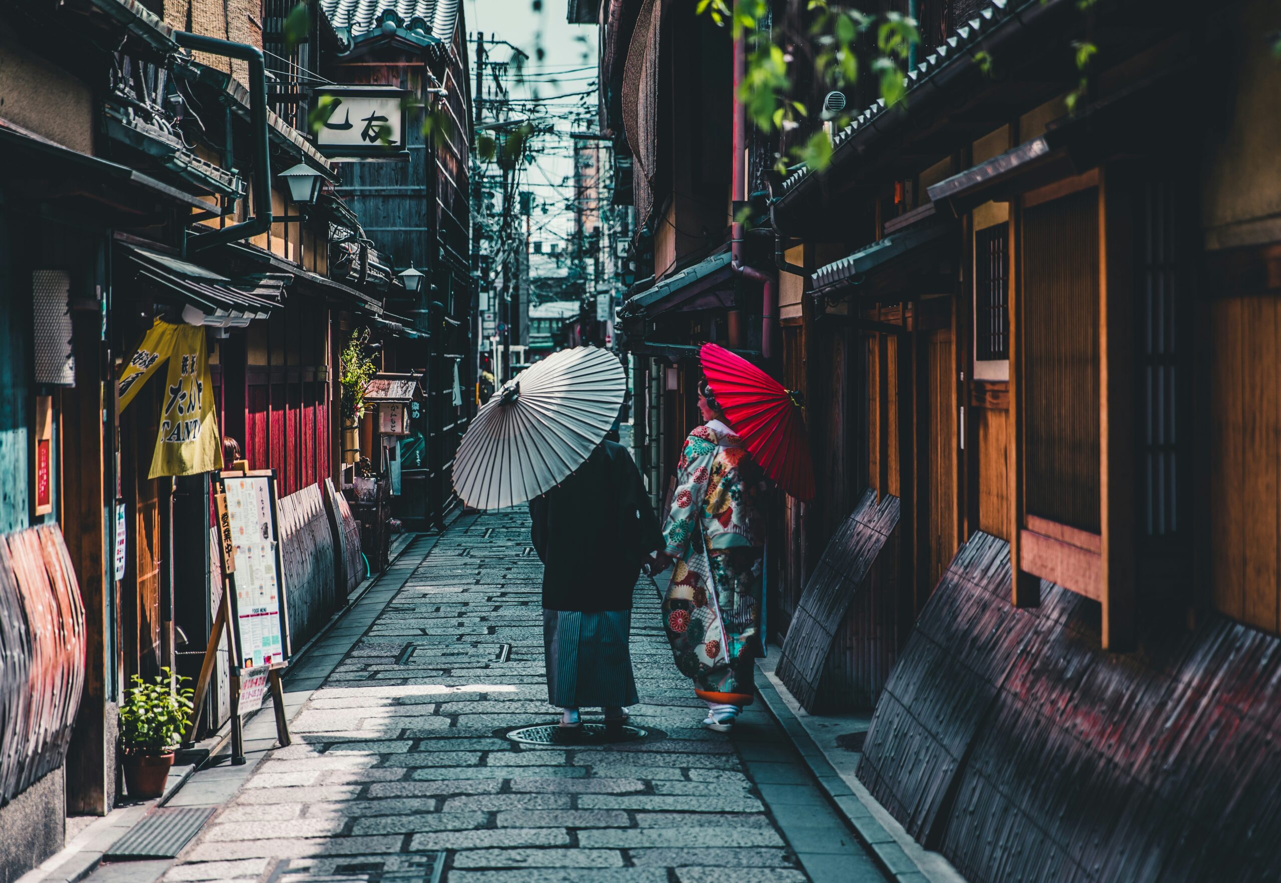 andre-benz-MsMISAIe8Qw-unsplash